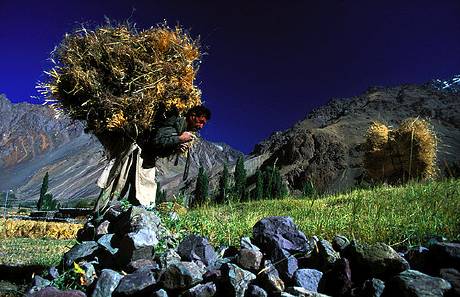 Rural Worker Northern Pakistan