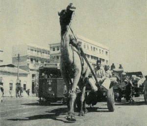 Karachi 'a one camel town', Life Magazine, Jan 1948, Pakistan